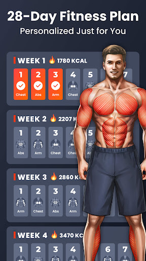 Home Workout - No Equipment
